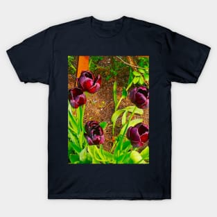 Dark Purple Tulips T-Shirt